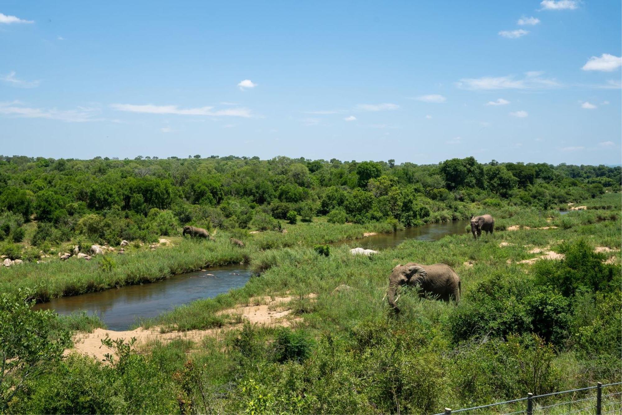 Leopard Sands Kruger Park Skukuza Εξωτερικό φωτογραφία